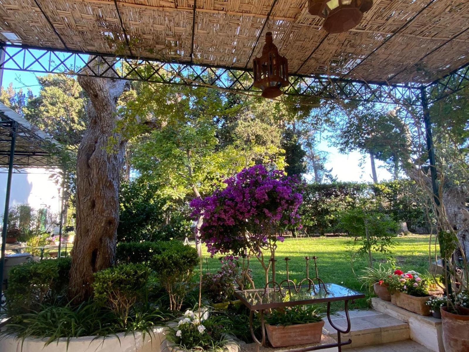 Tenuta Belvedere Otranto Kültér fotó