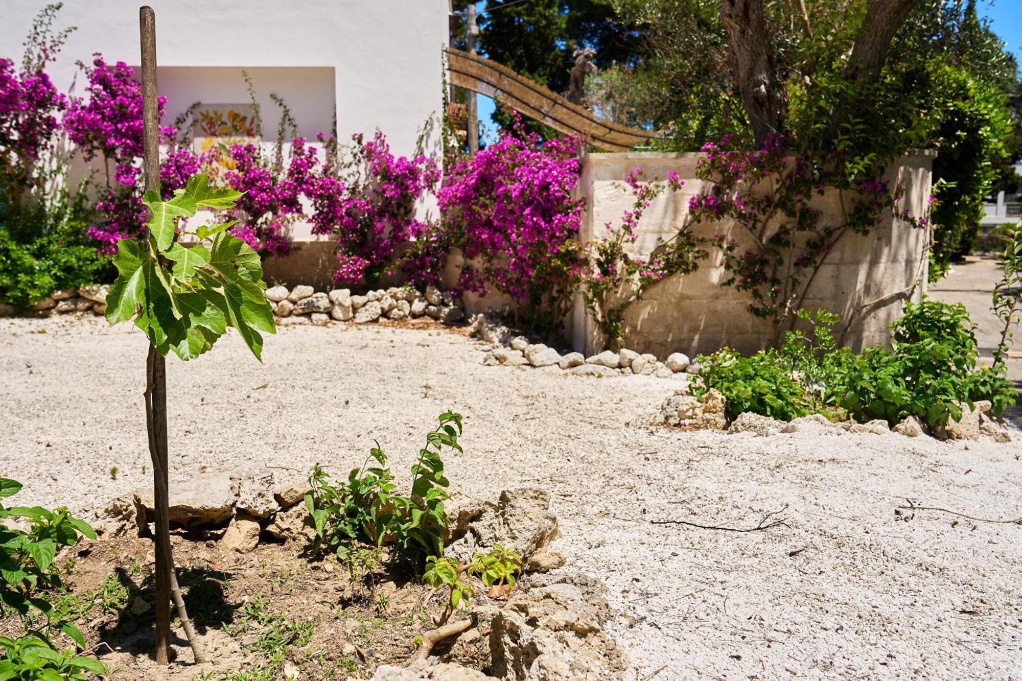 Tenuta Belvedere Otranto Kültér fotó