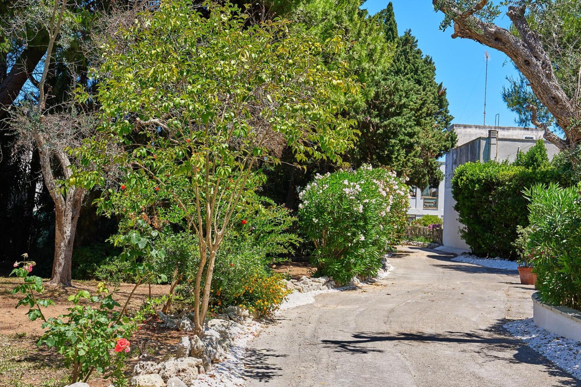 Tenuta Belvedere Otranto Kültér fotó